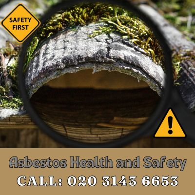 Expert Asbestos Health and Safety Services in Purley | Call 020 3143 6653