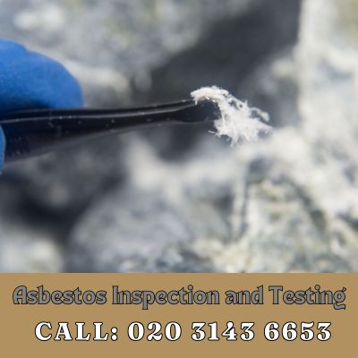 Comprehensive Asbestos Inspection and Testing Services in Purley